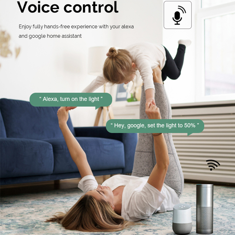 DIY  Wifi Smart Dimmer Switch  - đánh giá và giá Smart Home Matter