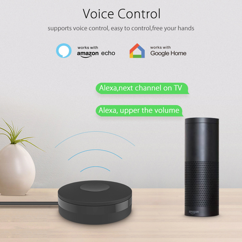 Graffiti Intelligent WiFi Univ - đánh giá và giá Smart Home Nas