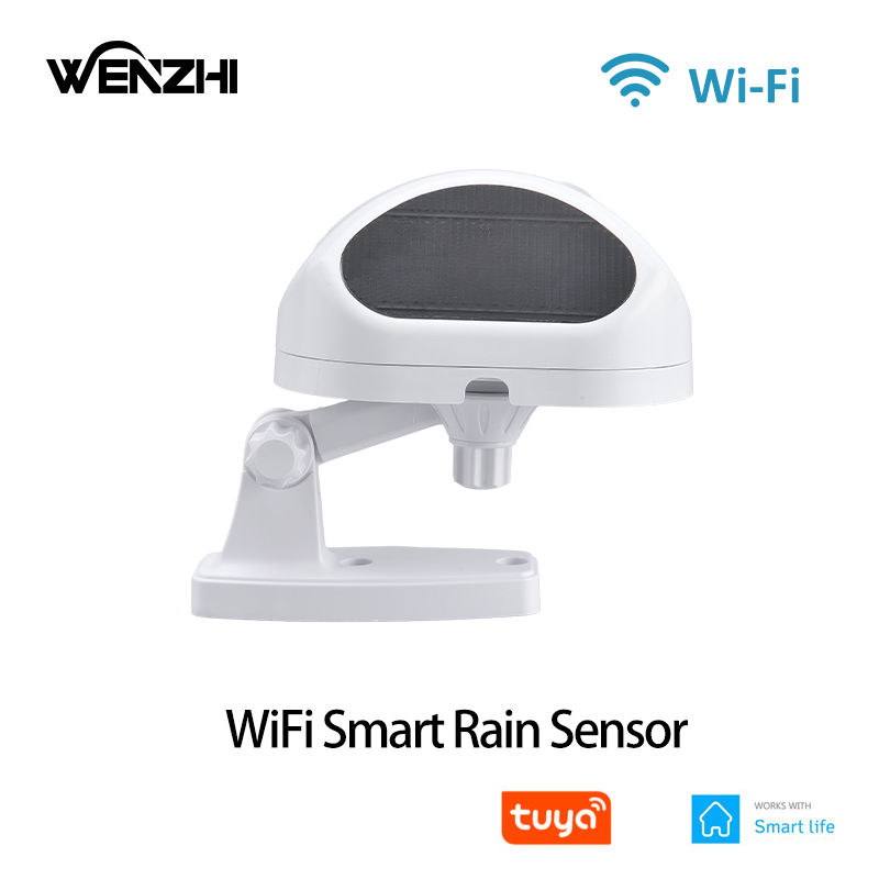 WiFi Rain Sensor Rainfall Dura - đánh giá và giá Smart Home Nas