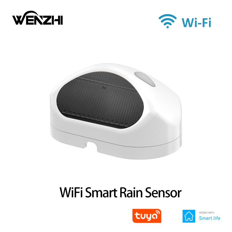 WiFi Rain Sensor Rainfall Dura - đánh giá và giá Smart Home Nas