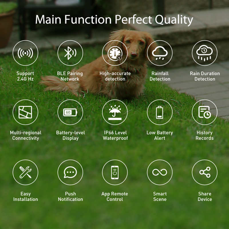 WiFi Rain Sensor Rainfall Dura - đánh giá và giá Smart Home Nas
