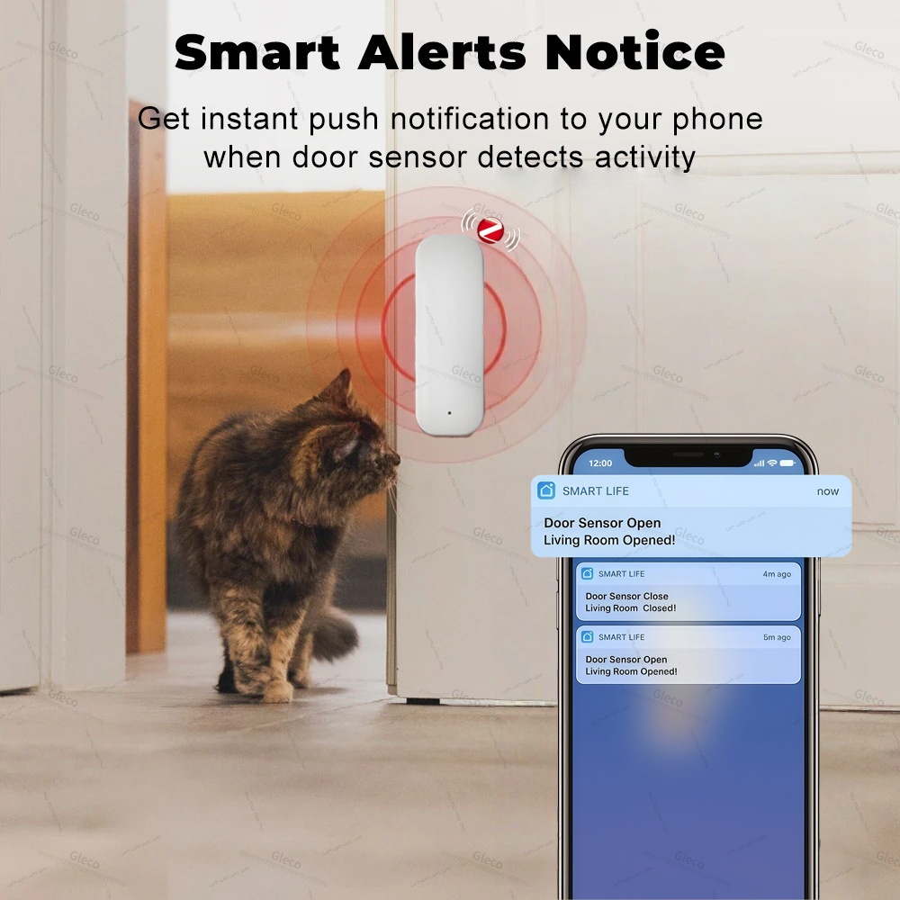 Tuya Zigbee Door Window Sensor - đánh giá và giá Smart Home Blog
