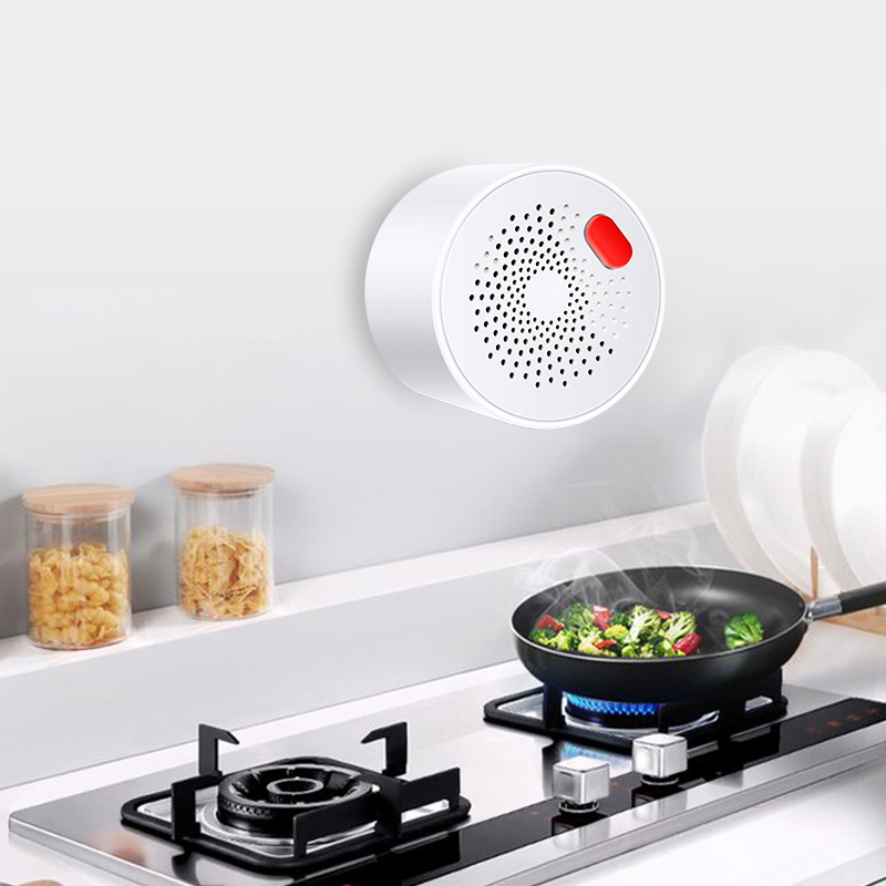 Tuya Smart Home Wifi Natural G - đánh giá và giá Smart Home Blog