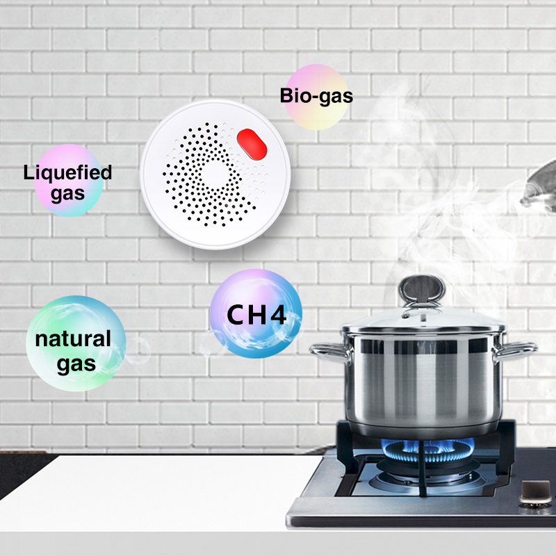 Tuya Smart Home Wifi Natural G - đánh giá và giá Smart Home Blog