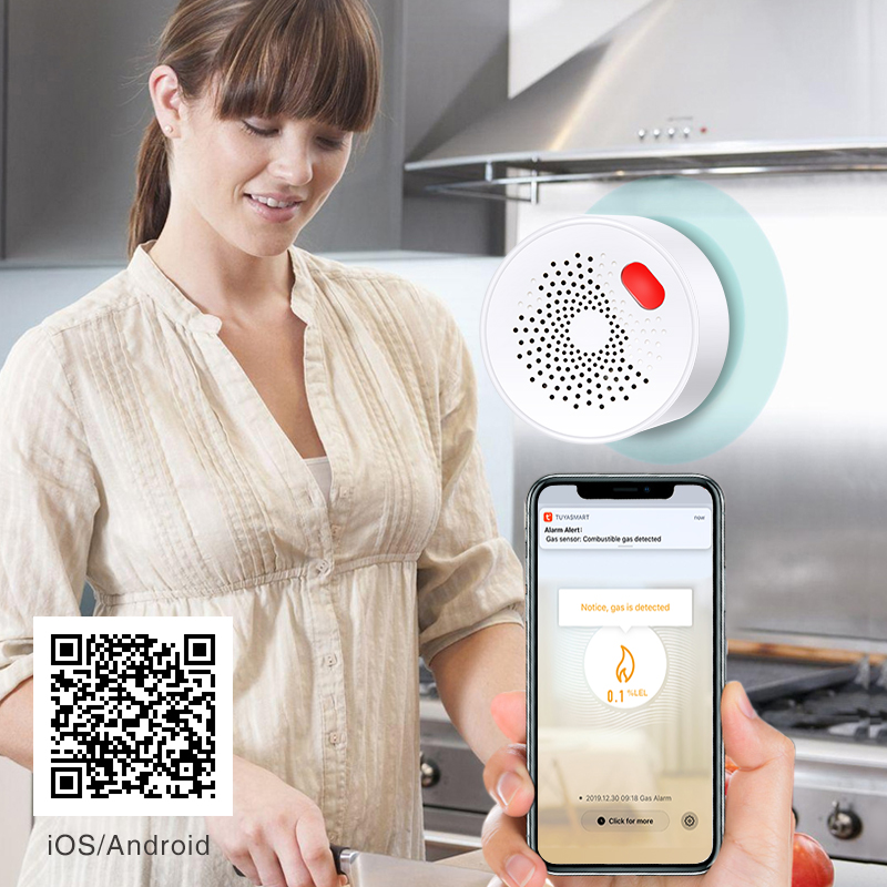 Tuya Smart Home Wifi Natural G - đánh giá và giá Smart Home Blog